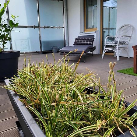 Miodowy Dom Exspanse Apartament 2 Lub 3 Pokoje Z Tarasem I Parkingiem Колобжег Екстериор снимка