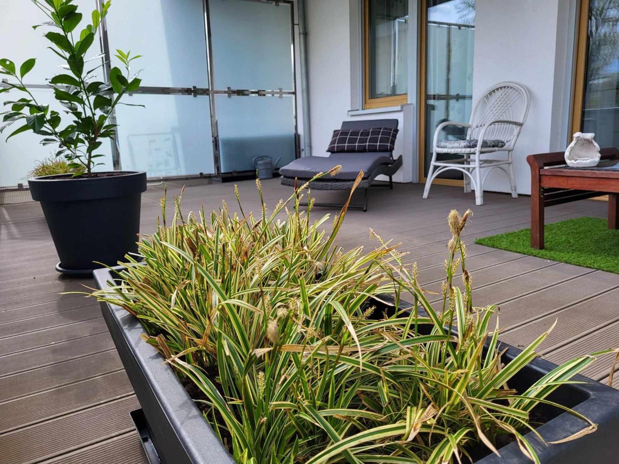 Miodowy Dom Exspanse Apartament 2 Lub 3 Pokoje Z Tarasem I Parkingiem Колобжег Екстериор снимка